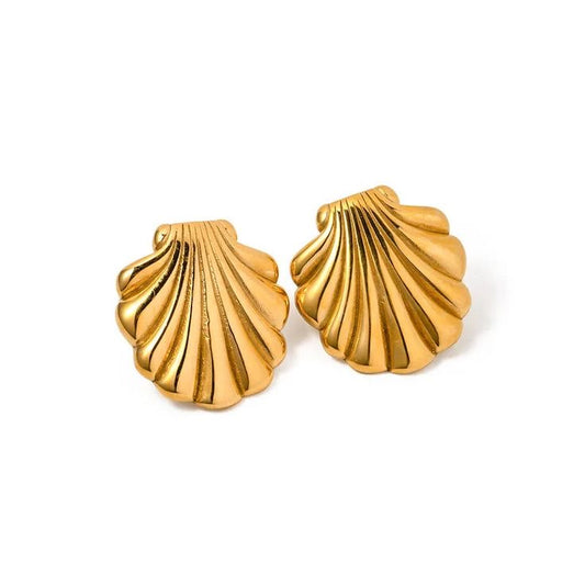 Shell earrings